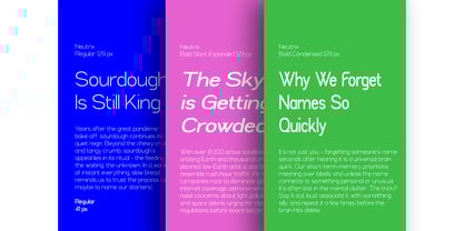 Neutrix Font Poster 12