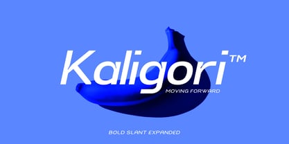 Neutrix Font Poster 9