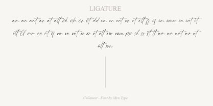 Cellanest Font Poster 13