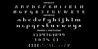 Sansed Font Poster 5