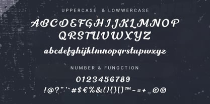 Barico Font Poster 10