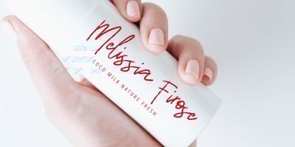 Bikang brush signature Font Poster 3