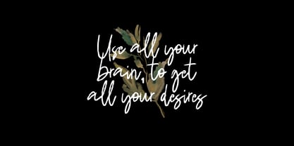 Bikang brush signature Font Poster 9