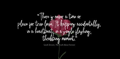 Bikang brush signature Font Poster 10