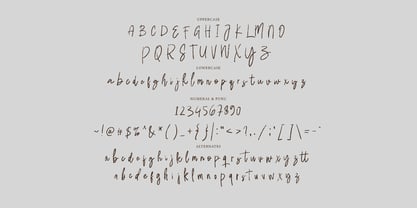 Bikang brush signature Font Poster 7