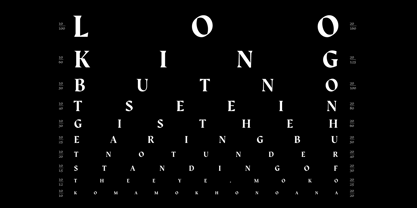 Auge Font Poster 5