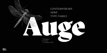 Auge Font Poster 2