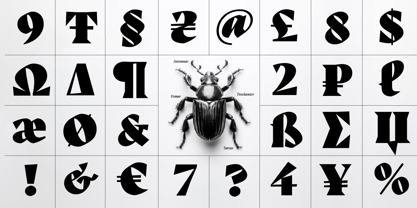 Auge Font Poster 8
