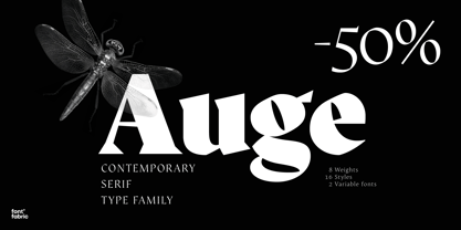 Auge Font Poster 1