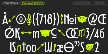 TT Modernoir Font Poster 15