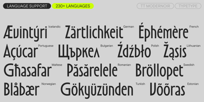 TT Modernoir Font Poster 7