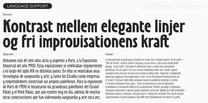 TT Modernoir Font Poster 8