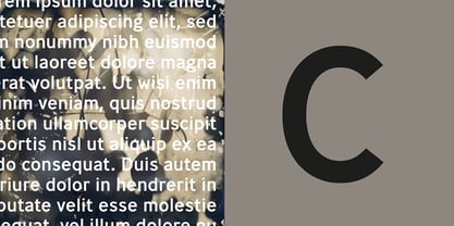 Ministry Font Poster 13