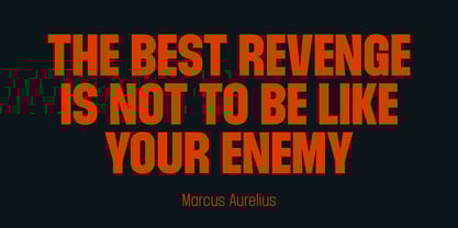 Fontesa Font Poster 9