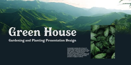 Murisa Soraya Font Poster 2