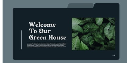 Murisa Soraya Font Poster 3