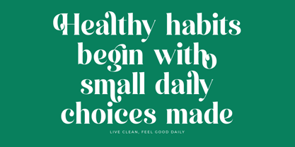 Kinsley Angels Font Poster 11