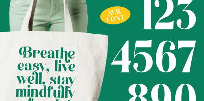 Kinsley Angels Font Poster 9