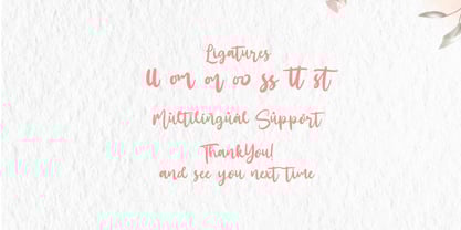 Santtuy Font Poster 8