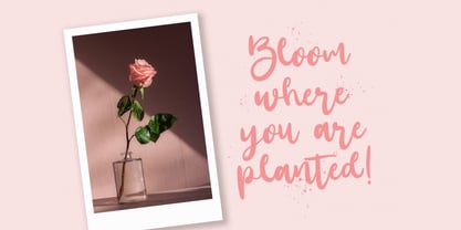 Santtuy Font Poster 2