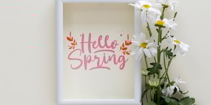 Santtuy Font Poster 5