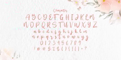 Santtuy Font Poster 7