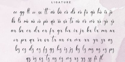 Sandara Script Font Poster 12