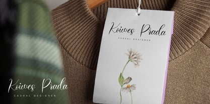 Sandara Script Font Poster 7