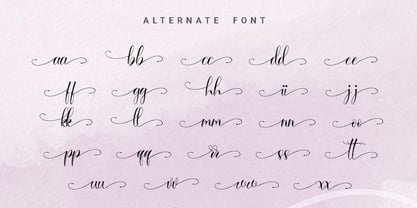 Sandara Script Font Poster 11