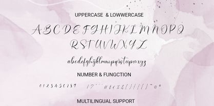 Sandara Script Font Poster 10