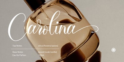 Sandara Script Font Poster 3