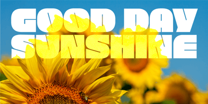 Yourbold Font Poster 6