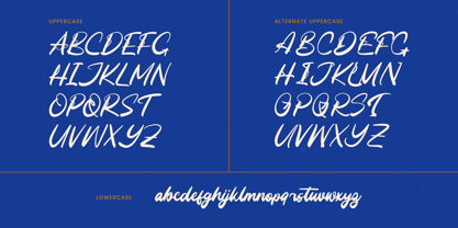 Unlatch Skater Font Poster 13