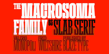 Macrosoma Slab Variable Font Poster 1