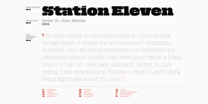 Macrosoma Slab Variable Font Poster 12