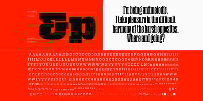 Macrosoma Slab Variable Font Poster 7