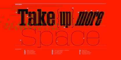 Macrosoma Slab Variable Font Poster 4
