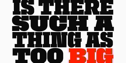 Macrosoma Slab Variable Font Poster 9