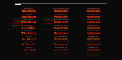 Macrosoma Slab Variable Font Poster 8