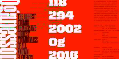 Macrosoma Slab Variable Font Poster 11