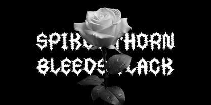 Thornhood Font Poster 2