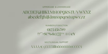 Quicle Font Poster 6