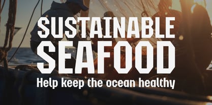 Meksar Font Poster 2