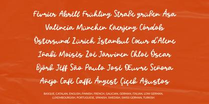 Absolutely Darling Font Poster 6