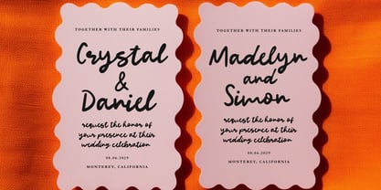 Absolutely Darling Font Poster 13