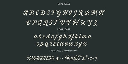 Hiclent Script Font Poster 8