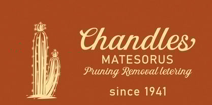 Hiclent Script Font Poster 3