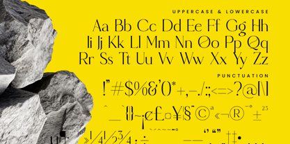 Qignals Font Poster 14
