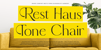 Qignals Font Poster 4