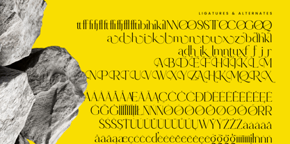 Qignals Font Poster 11